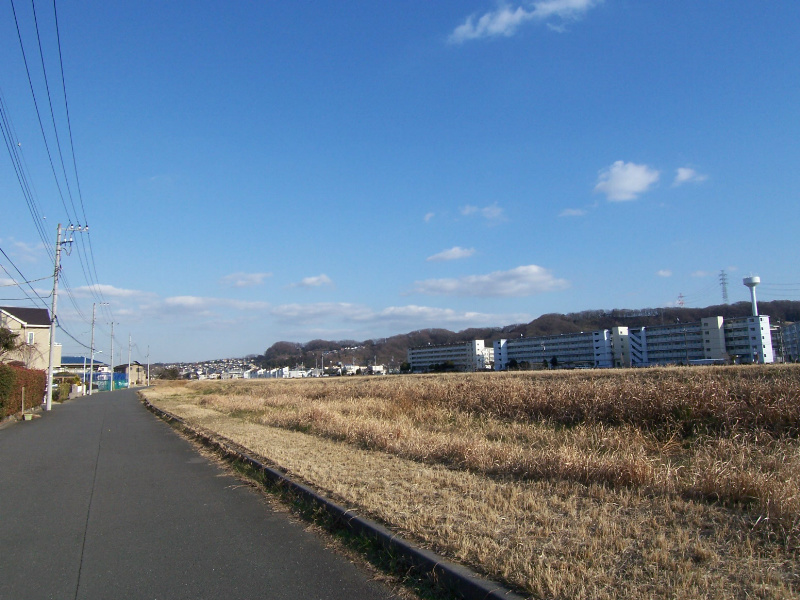 外観画像：近くの土手です！散歩やジョギングに良いです！
