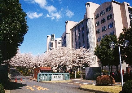 大学・短大：私立創価大学　2061m