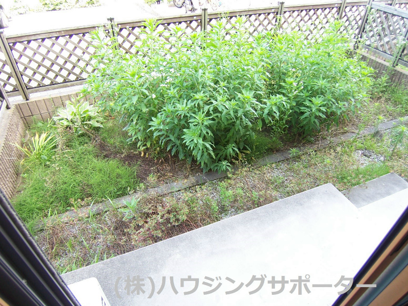 庭