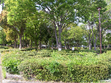 公園：高倉公園　1663m