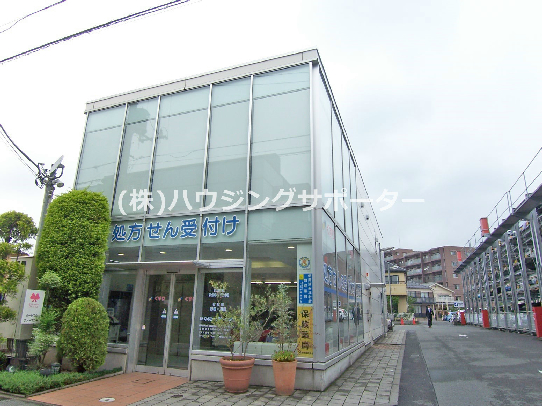 グランシャリオ ドラッグストア